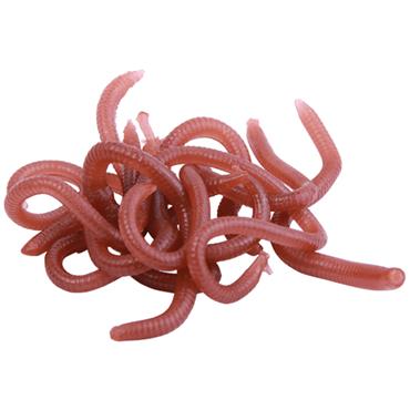 Trendex Artificials Scented Earthworm Mi