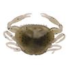 Gulp! Saltwater Peeler Crab Natural Peeler 5pk