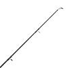 AXIA Pegasus Beachcaster 3.60m 12FT 100g-250g