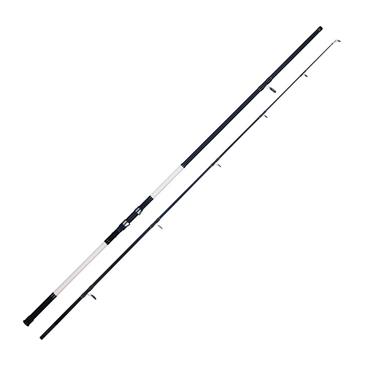 AXIA Pegasus Beachcaster 3.60m 12FT 100g-250g