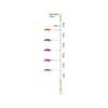 Kinetic Sabiki Rooster Tail Rig #2/0 Multi Colour 130cm