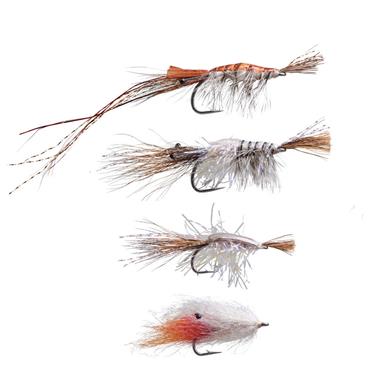 Saltwater Shrimp  Selection
