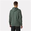 CLASSIC LOGO HOODIE SPRUCE