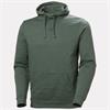 CLASSIC LOGO HOODIE SPRUCE