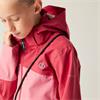 Explore III Jacket Rose/Claret