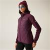 Womens Torrek Hybrid Jacket Fig