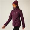 Torrek Blaze Insulated Waterproof Jacket Fig