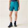 Chaska III Ladies Walking Shorts Exotic Plume