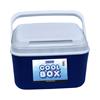 Cool Box 5 Litre Blue