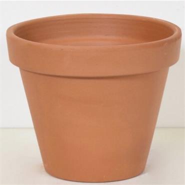 LEMONFIELD STANDARD TERRA POT 21CM