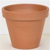 LEMONFIELD STANDARD TERRA POT 21CM