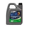 PROSAP C4 5W/30 5L