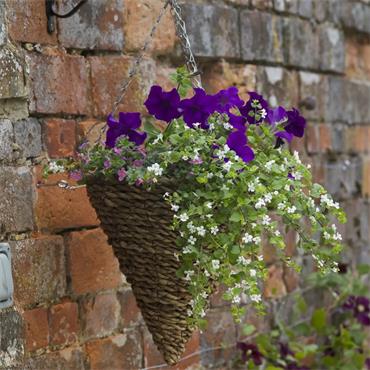 12" COUNTRY RATTAN CONE