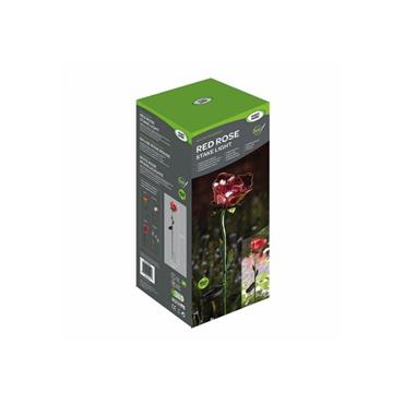 SG RED ROSE