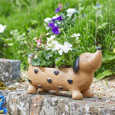 POOCH PLANTER