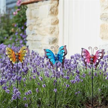 BELLA BUTTERFLIES (MIXED CASE)