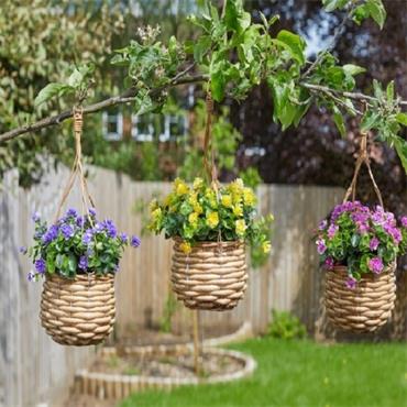 SG BASKET BOUQUET - FLORETS