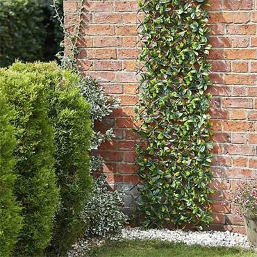 LEMON LEAF WILLOW TRELLIS 180 X 60 CM