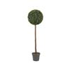 SG UNO TOPIARY TREE - 120CM