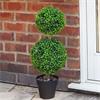 SG DUO TOPIARY TREE