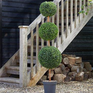 SG TRIO TOPIARY TREE 150CM