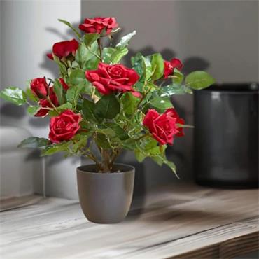 SG REGENT'S ROSES 40CM - RUBY RED