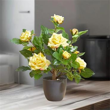 SG REGENT'S ROSES 40CM - SUNSHINE YELLOW