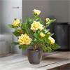 SG REGENT'S ROSES 40CM - SUNSHINE YELLOW