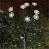 SG 8-STEM FLORALIGHTS WARM WHITE STAKE LIGHT PS 12