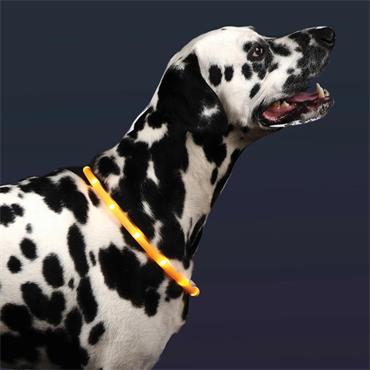 SG FLASH & GO RECHARGEABLE 'SEE-DOG' RING - M/L