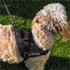 SG JET ADVANCED SLIP-ON S WALKABOUT DOG HARNESS