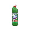DOMESTOS MOUNTAIN FRESH 750ML