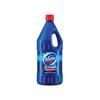 DOMESTOS 2L