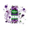 ZOFLORA MIDNIGHT BLOOM 500ML