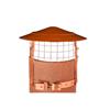 SHL COWL ANTI BIRD ANTI RAIN 8" TERRACOTTA