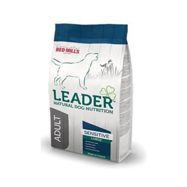 Sensitive Large Breed Lamb 12kg