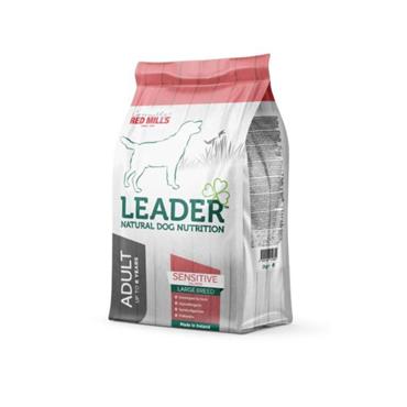 Sensitive Large Breed Salmon 12kg