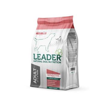 Sensitive Large Breed Salmon 2kg