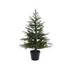 KAE Grandis Christmas tree LED indoor & outdoor green/white