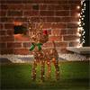 67cm Lit Big Nose Reindeer w/80 White LED & Timer
