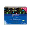 100 Multi Action Pearl Berry Lights w/M Colour LED