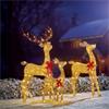 3 Lit Gold Glitter Reindeer Family w/210 White LED