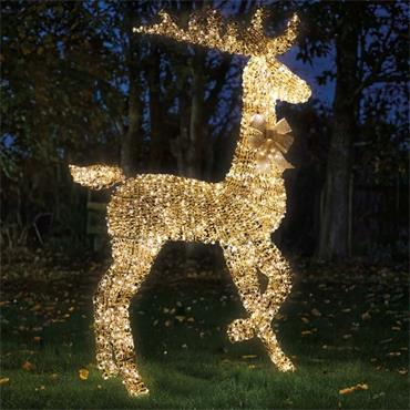 SG Titan Gold Stag 280cm LV