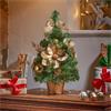 SG Golden Fir 40cm