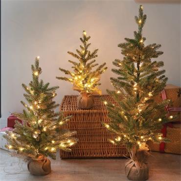 SG InLit Sparkly Fir 80cm
