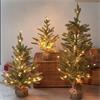 SG InLit Sparkly Fir 80cm
