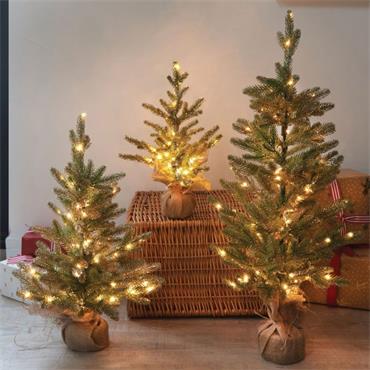 SG InLit Sparkly Fir 60cm