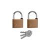 TESSI 2 X 50MM PADLOCKS KA