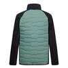 REGATTA Cyrus Hybrid Dark Forest Green/Black