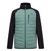 REGATTA Cyrus Hybrid Dark Forest Green/Black